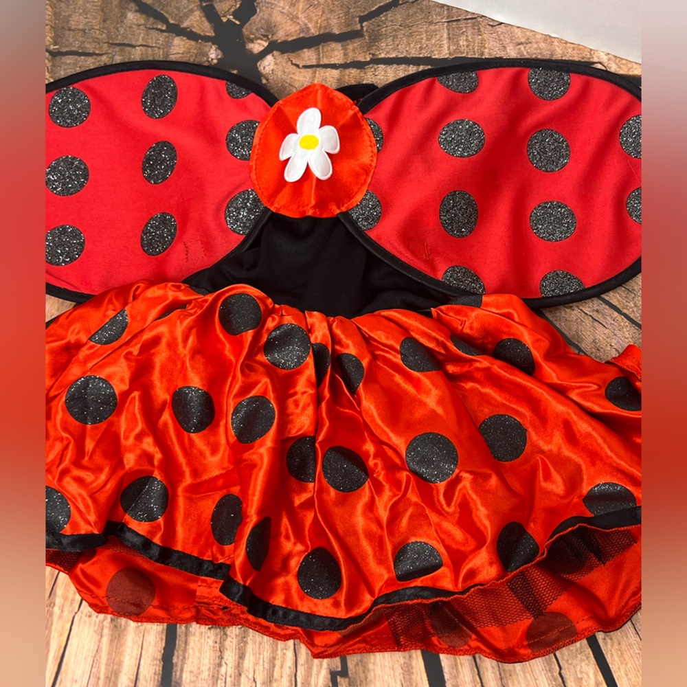 Petite Coccinelle Baby Ladybug Costume Dress and Wings - Picture 4 of 6
